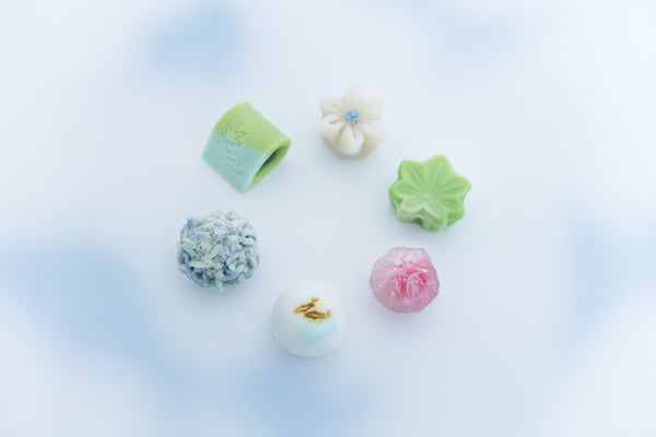 6月の京雪華