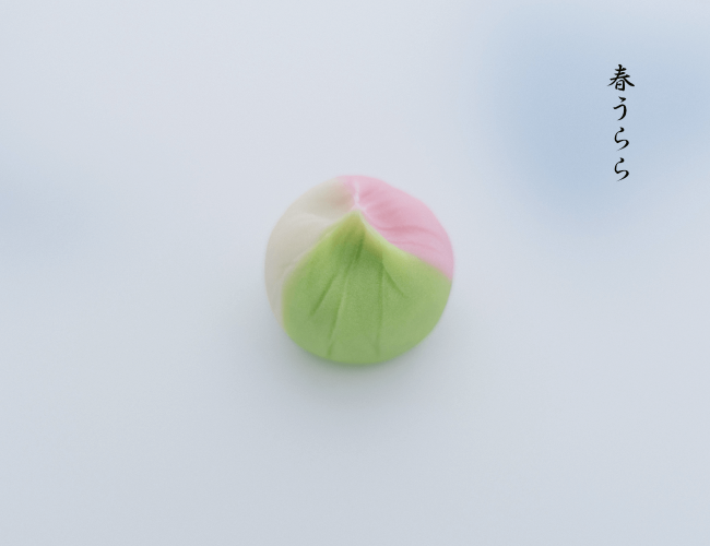 3月の京雪華